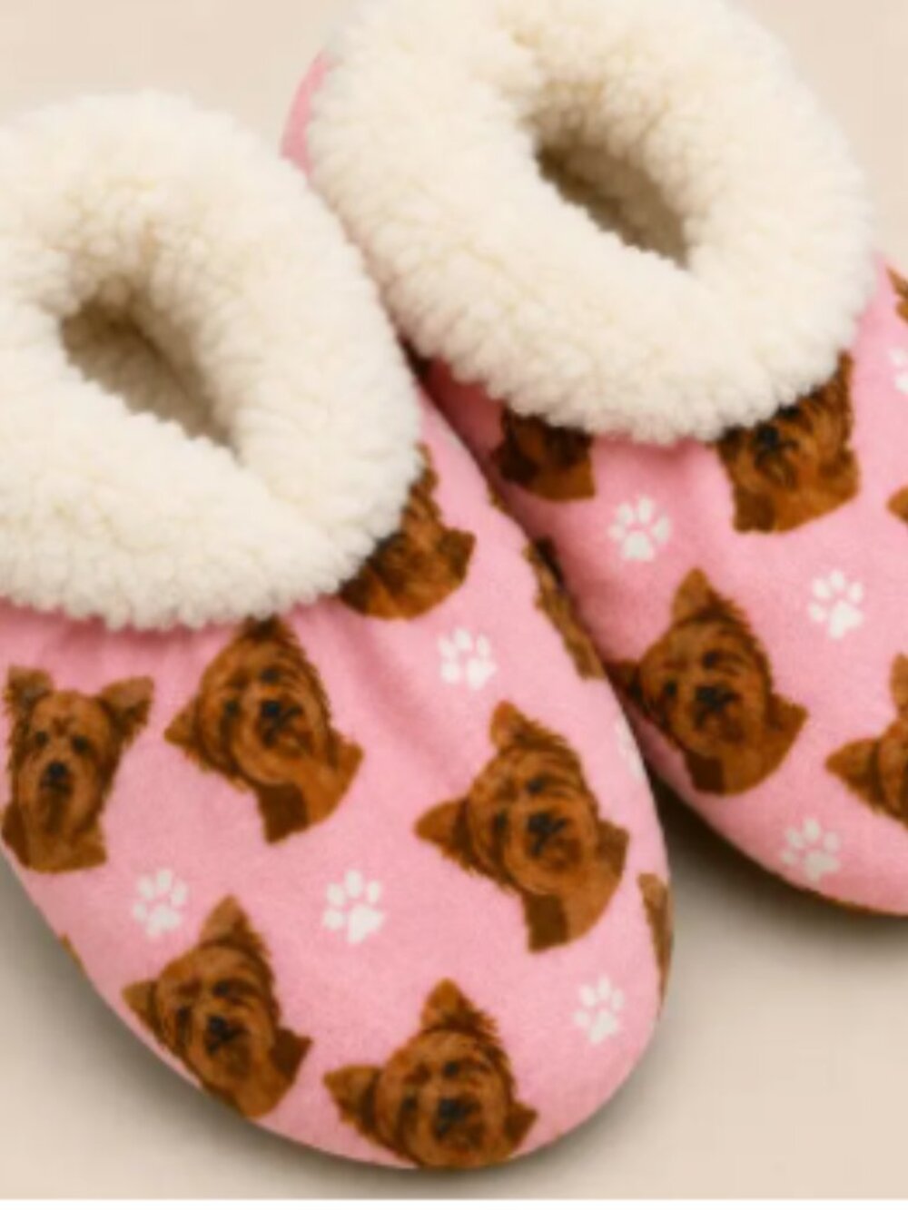 Slippers , Yorkie